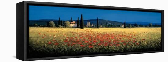 Tuscan Panorama, Poppies-David Short-Framed Stretched Canvas