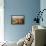Tuscan Panorama-Vail Oxley-Framed Stretched Canvas displayed on a wall