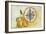 Tuscan Pears-Smith Haynes-Framed Art Print