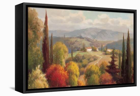 Tuscan Perspective-Vail Oxley-Framed Stretched Canvas