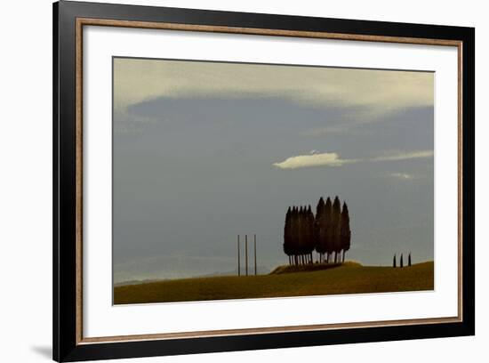 Tuscan Pines-Valda Bailey-Framed Photographic Print