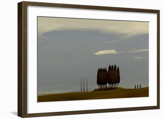 Tuscan Pines-Valda Bailey-Framed Photographic Print