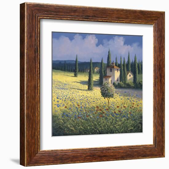 Tuscan Poppies I-David Short-Framed Giclee Print