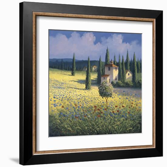 Tuscan Poppies I-David Short-Framed Giclee Print