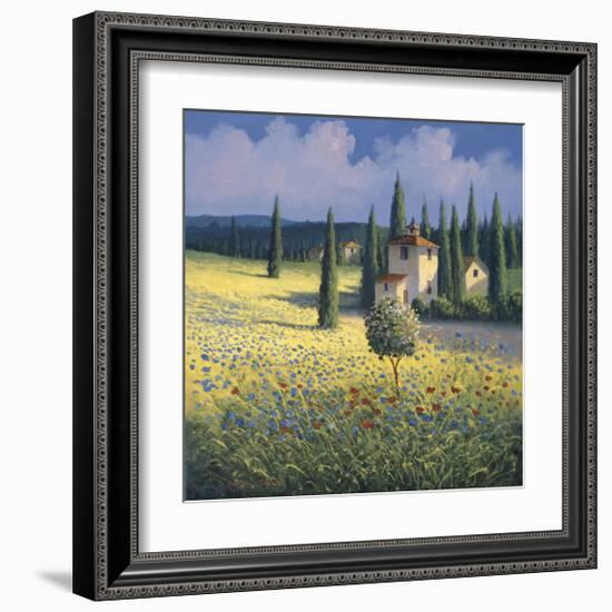 Tuscan Poppies I-David Short-Framed Giclee Print