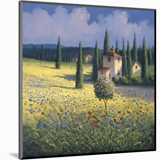 Tuscan Poppies I-David Short-Mounted Giclee Print