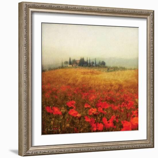 Tuscan Poppies-Amy Melious-Framed Art Print