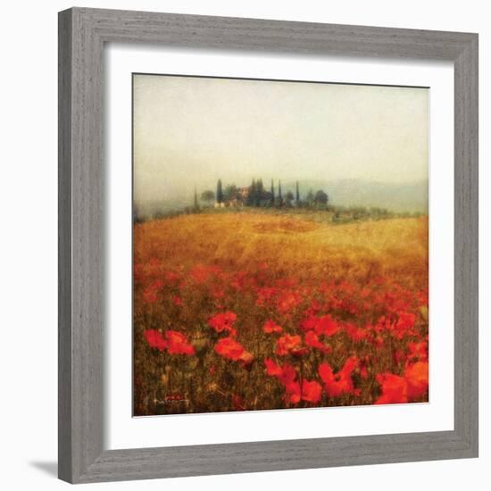 Tuscan Poppies-Amy Melious-Framed Art Print