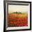 Tuscan Poppies-Amy Melious-Framed Art Print