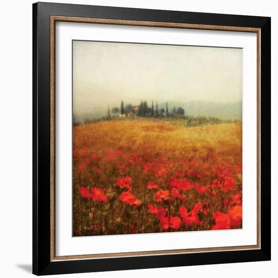 Tuscan Poppies-Amy Melious-Framed Art Print