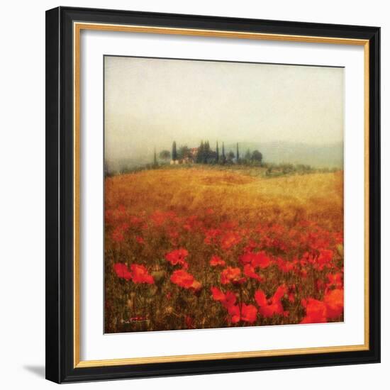 Tuscan Poppies-Amy Melious-Framed Art Print