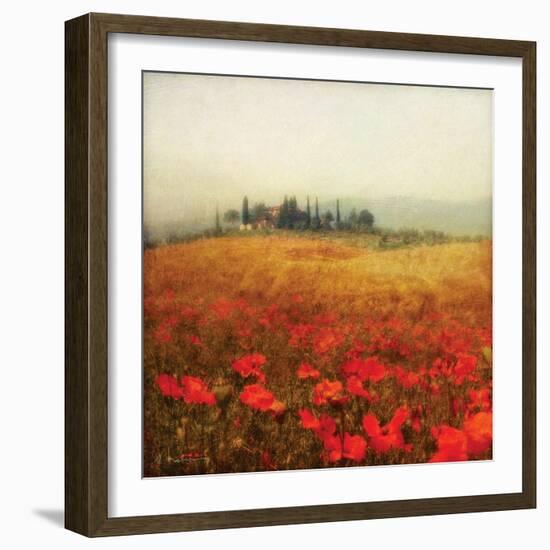 Tuscan Poppies-Amy Melious-Framed Art Print