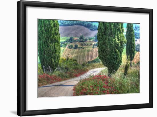 Tuscan Red Flower Road-Robert Goldwitz-Framed Photographic Print