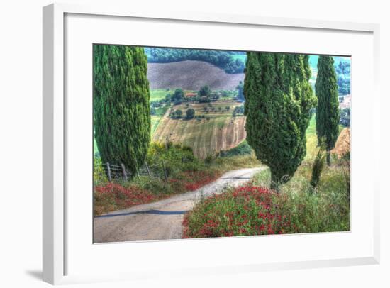 Tuscan Red Flower Road-Robert Goldwitz-Framed Photographic Print