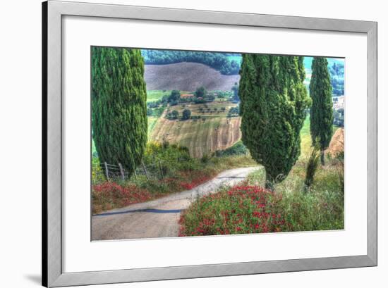 Tuscan Red Flower Road-Robert Goldwitz-Framed Photographic Print