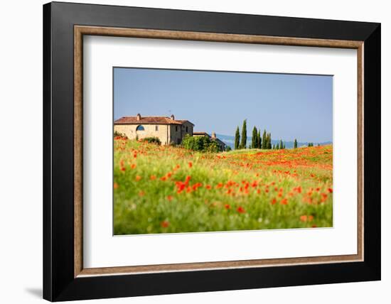 Tuscan Red Poppies-kre_geg-Framed Photographic Print