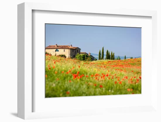 Tuscan Red Poppies-kre_geg-Framed Photographic Print