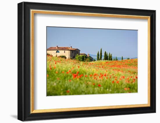 Tuscan Red Poppies-kre_geg-Framed Photographic Print