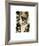 Tuscan Repose II-Maureen Love-Framed Photo