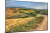 Tuscan Ridge Top Trail-Robert Goldwitz-Mounted Photographic Print