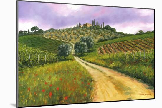 Tuscan Road-Michael Swanson-Mounted Art Print