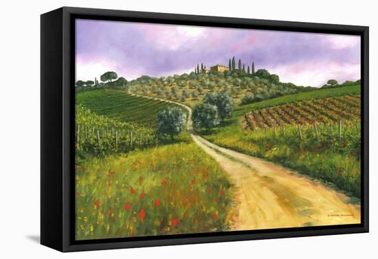 Tuscan Road-Michael Swanson-Framed Stretched Canvas