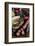 Tuscan Sausages, Tuscan Cuisine, Tuscany, Italy-Nico Tondini-Framed Photographic Print