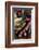 Tuscan Sausages, Tuscan Cuisine, Tuscany, Italy-Nico Tondini-Framed Photographic Print