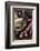 Tuscan Sausages, Tuscan Cuisine, Tuscany, Italy-Nico Tondini-Framed Photographic Print