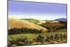 Tuscan Sky-Michael Swanson-Mounted Art Print