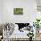 Tuscan Sleepy Cat-Robert Goldwitz-Photographic Print displayed on a wall