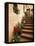 Tuscan Staircase, Italy-Walter Bibikow-Framed Premier Image Canvas