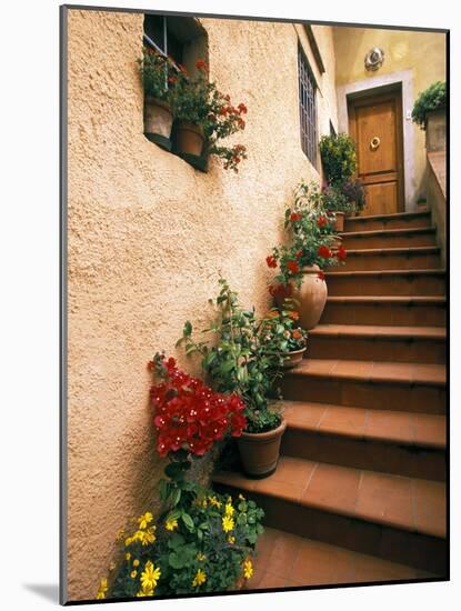 Tuscan Staircase, Italy-Walter Bibikow-Mounted Photographic Print