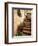 Tuscan Staircase, Italy-Walter Bibikow-Framed Photographic Print