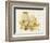 Tuscan Still Life III-Matilda Ellison-Framed Art Print