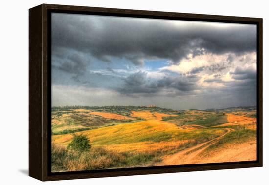 Tuscan Storm II-Robert Goldwitz-Framed Premier Image Canvas