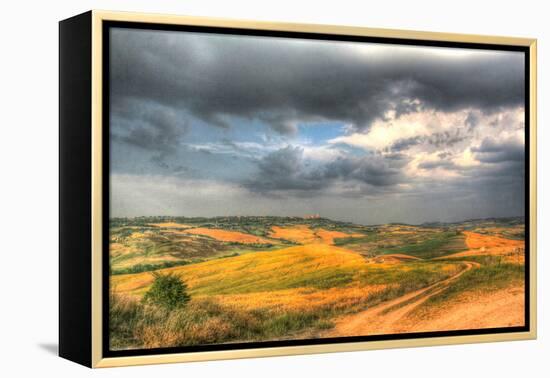 Tuscan Storm II-Robert Goldwitz-Framed Premier Image Canvas