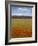 Tuscan Summer-Doug Chinnery-Framed Photographic Print