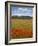 Tuscan Summer-Doug Chinnery-Framed Photographic Print