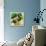 Tuscan Sun Figs-Jennifer Garant-Framed Premier Image Canvas displayed on a wall