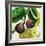 Tuscan Sun Figs-Jennifer Garant-Framed Giclee Print