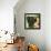 Tuscan Sun Grapes-Jennifer Garant-Framed Premier Image Canvas displayed on a wall