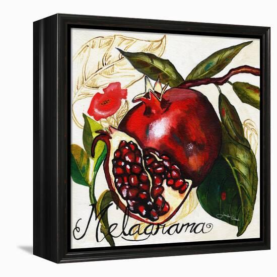 Tuscan Sun Pomegranate-Jennifer Garant-Framed Premier Image Canvas