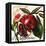 Tuscan Sun Pomegranate-Jennifer Garant-Framed Premier Image Canvas