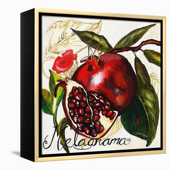 Tuscan Sun Pomegranate-Jennifer Garant-Framed Premier Image Canvas