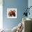 Tuscan Sun Pomegranate-Jennifer Garant-Framed Giclee Print displayed on a wall