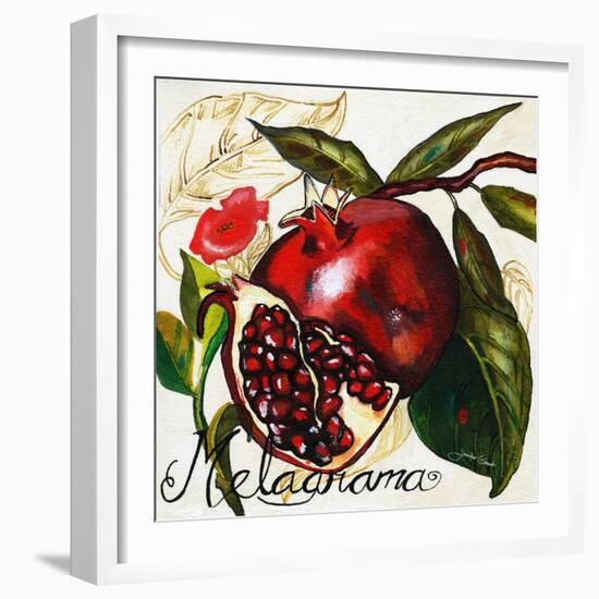 Tuscan Sun Pomegranate-Jennifer Garant-Framed Giclee Print