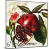 Tuscan Sun Pomegranate-Jennifer Garant-Mounted Giclee Print