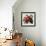 Tuscan Sun Pomegranate-Jennifer Garant-Framed Giclee Print displayed on a wall