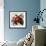 Tuscan Sun Pomegranate-Jennifer Garant-Framed Giclee Print displayed on a wall